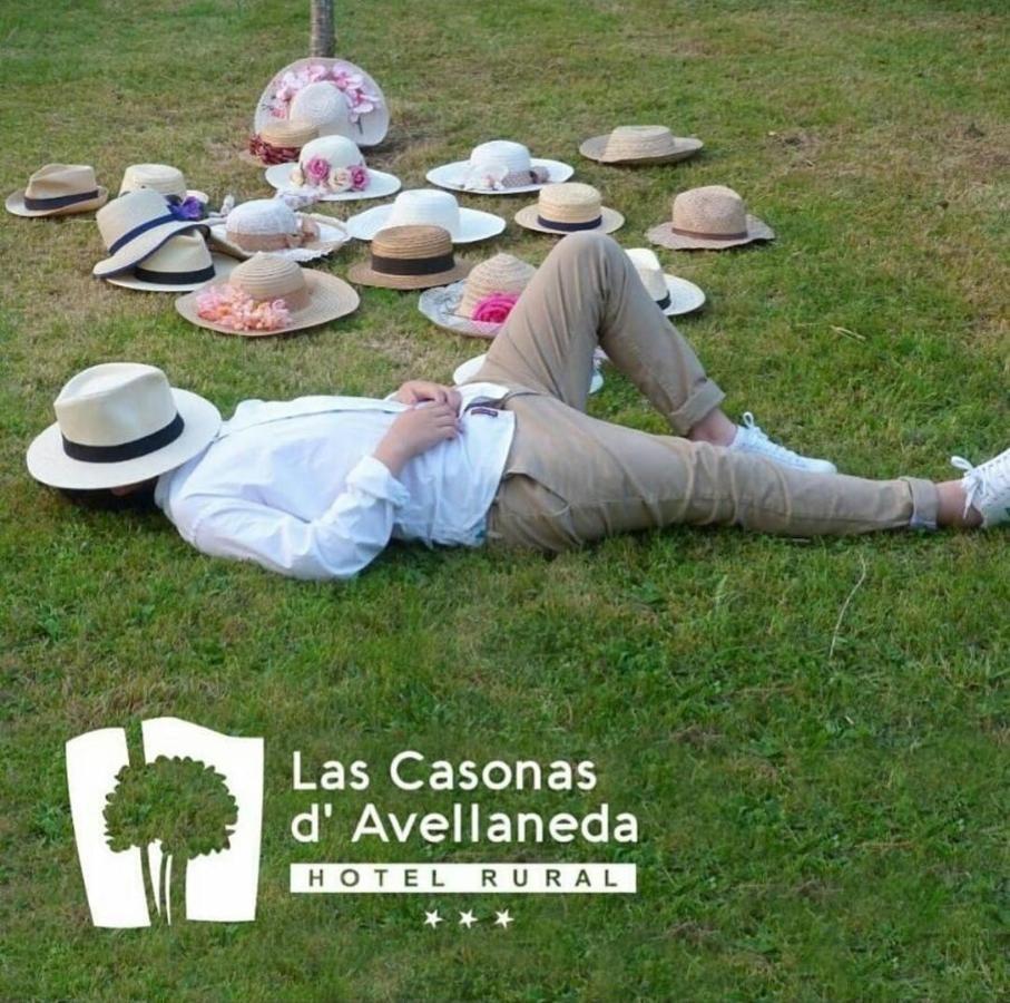 Las Casonas De Avellaneda Navia Εξωτερικό φωτογραφία